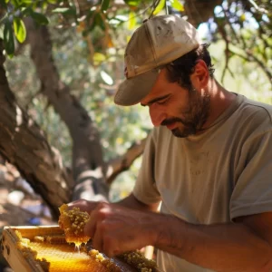 Cretan Honey Harvesting