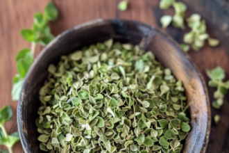 Greek oregano 3